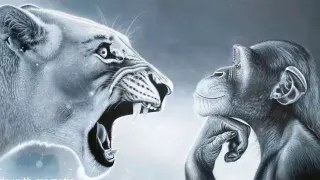 Lion Screaming At Monkey meme card, common rarity