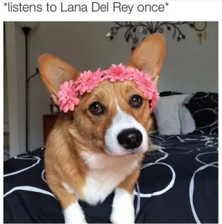 Listens Once meme card, common rarity