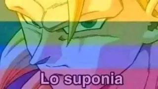 Lo Suponía / Lo Suponíamos meme card, common rarity