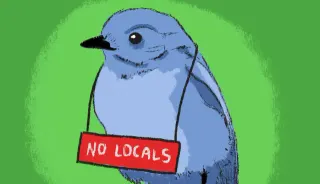 Locals meme card, common rarity