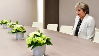 Lonely Theresa May meme card, common rarity
