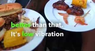 Low Vibration Plate meme card, common rarity