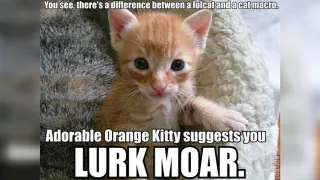 Lurk Moar meme card, rare rarity