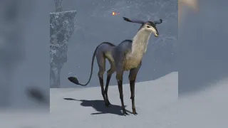 "Lv 1" meme card, common rarity