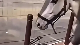 Carte meme Mais j'ai peur madame !, rareté commune