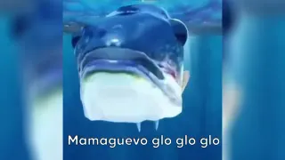 Mamaguevo, Digo Glo Glo Glo / Mama Huevo meme card, common rarity