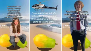 Carte meme Mango Dropping From Helicopter CapCut Template / The Function Will Have, rareté commune