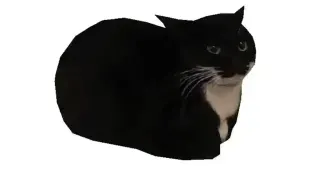 Maxwell the Cat / Spinning Cat meme card, epic rarity
