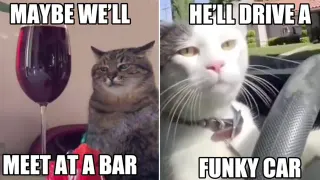 Carte meme Maybe We’ll Meet at a Bar, He’ll Drive a Funky Car, rareté commune