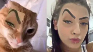 Carte meme MC Mirella Sobrancelha / Mc Mirella’s Eyebrow, rareté commune