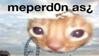 Me Perdonas? meme card, rare rarity