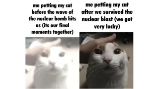 Me Petting My Cat Before the Nuclear Blast meme card, rare rarity