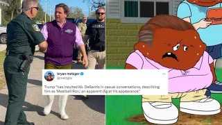 Meatball Ron meme card, common rarity