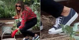 Melania Trump Gardening meme card, common rarity