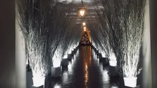 Melania Trump's Christmas Decorations meme card, common rarity
