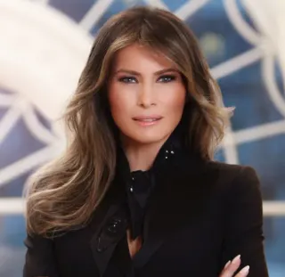 Melania Trump's First Lady Portrait meme card, common rarity