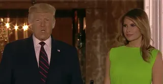Carte meme Melania Trump’s Green RNC Dress, rareté commune