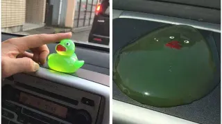 Carte meme Melted Duck on a Dashboard, rareté commune