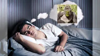 Memes From Dreams / This Meme Came To Me In A Dream meme card, common rarity