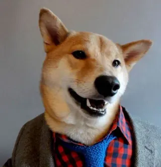 Carte meme Menswear Dog, rareté commune