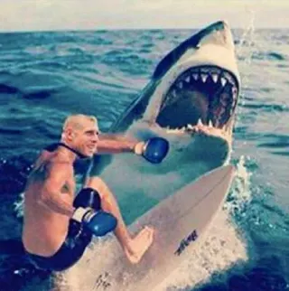 Mick Fanning Shark Attack meme card, common rarity