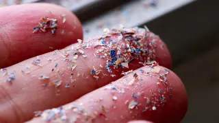 Microplastics meme card, common rarity