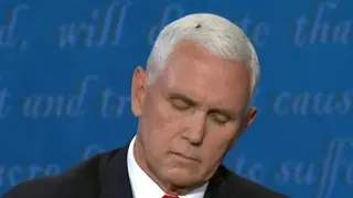 Mike Pence Fly meme card, common rarity