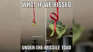 Missile Toad meme card, common rarity
