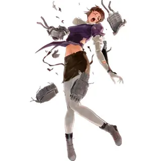 Moderately-Damaged Myoukou meme card, common rarity
