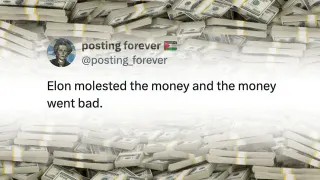 Molested The Money and the Money Went Bad meme card, common rarity