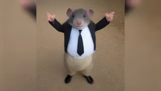 Mr. Chedda meme card, rare rarity