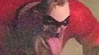 Mr. Incredible's Tongue meme card, common rarity