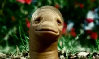 MSN Earthworm / VineMeat meme card, common rarity