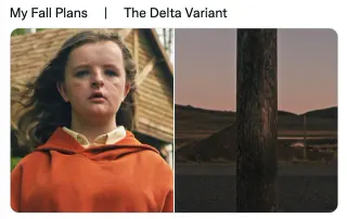 My Fall Plans / Delta Variant meme card, common rarity