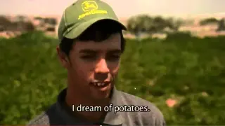 My Life Is Potato meme card, common rarity
