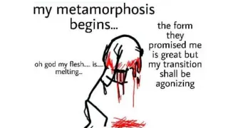My Metamorphosis Begins meme card, rare rarity