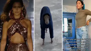 My Name Is Bella Hadid meme card, common rarity