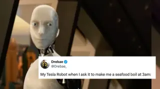 My Tesla Robot Staring meme card, common rarity