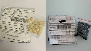 Mystery Seeds From China meme card, common rarity