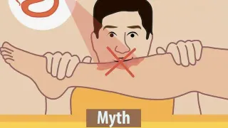 Carte meme Myth You Can Suck Out the Venom from a Snake Bite, rareté commune