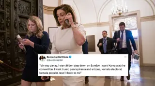 Nancy Pelosi On The Phone meme card, common rarity