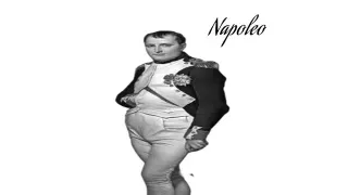 Napoleo meme card, common rarity