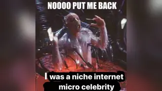Carte meme Niche Internet Micro Celebrity, rareté commune