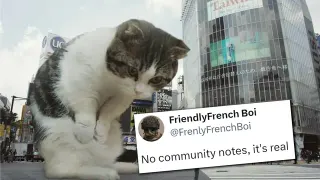No Community Note, It's Real meme card, common rarity
