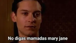 No Digas Mamadas, Meriyein meme card, common rarity