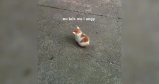 No Talk Me I'm Angy meme card, common rarity