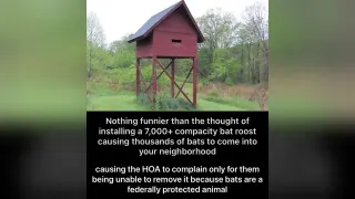 Nothing Funnier Than 7000+ Bats meme card, common rarity