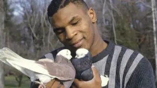 Now Kith / Mike Tyson Holding Pigeons meme card, common rarity