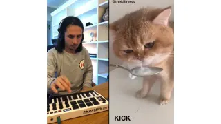 NumNum Cat meme card, common rarity