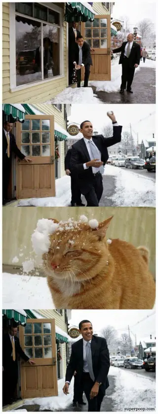 Obama Snowball meme card, common rarity
